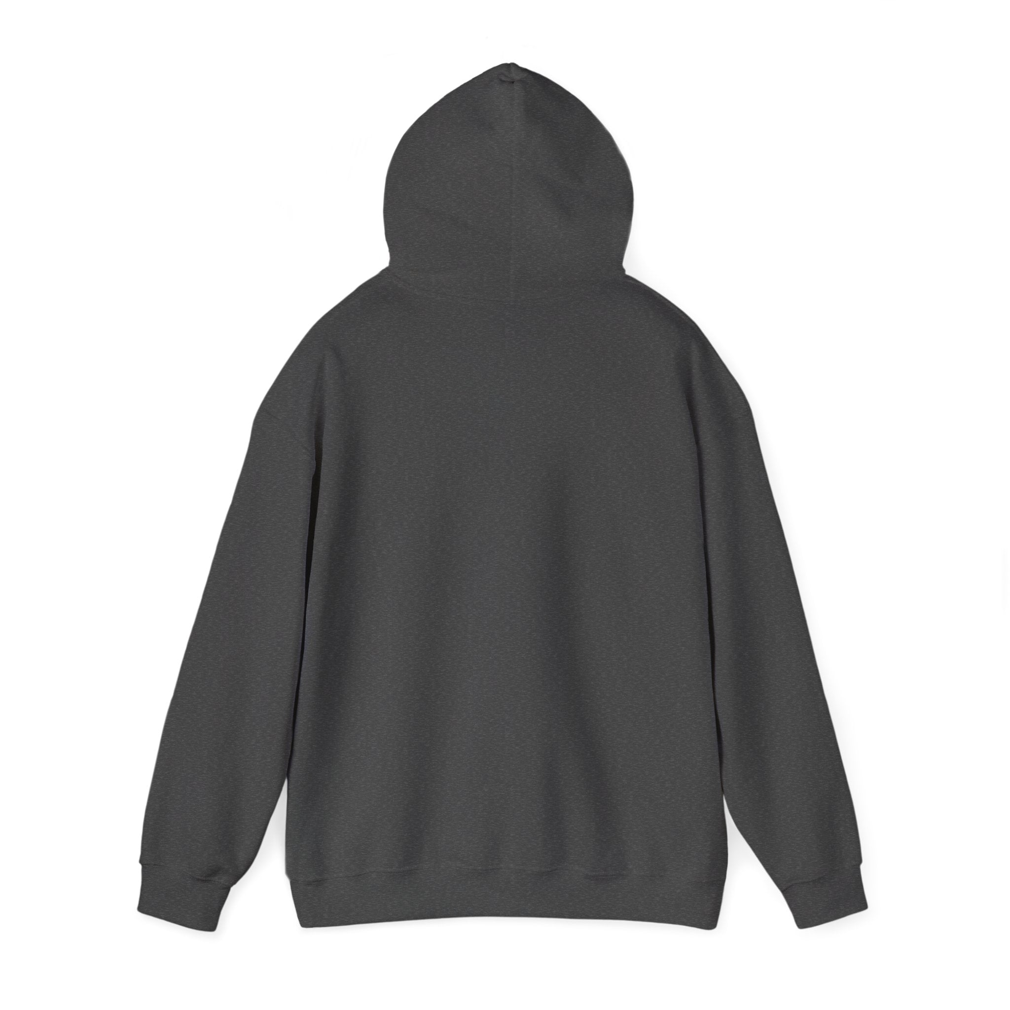 ACE NYC (Hoodie)