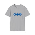 ACE NYC