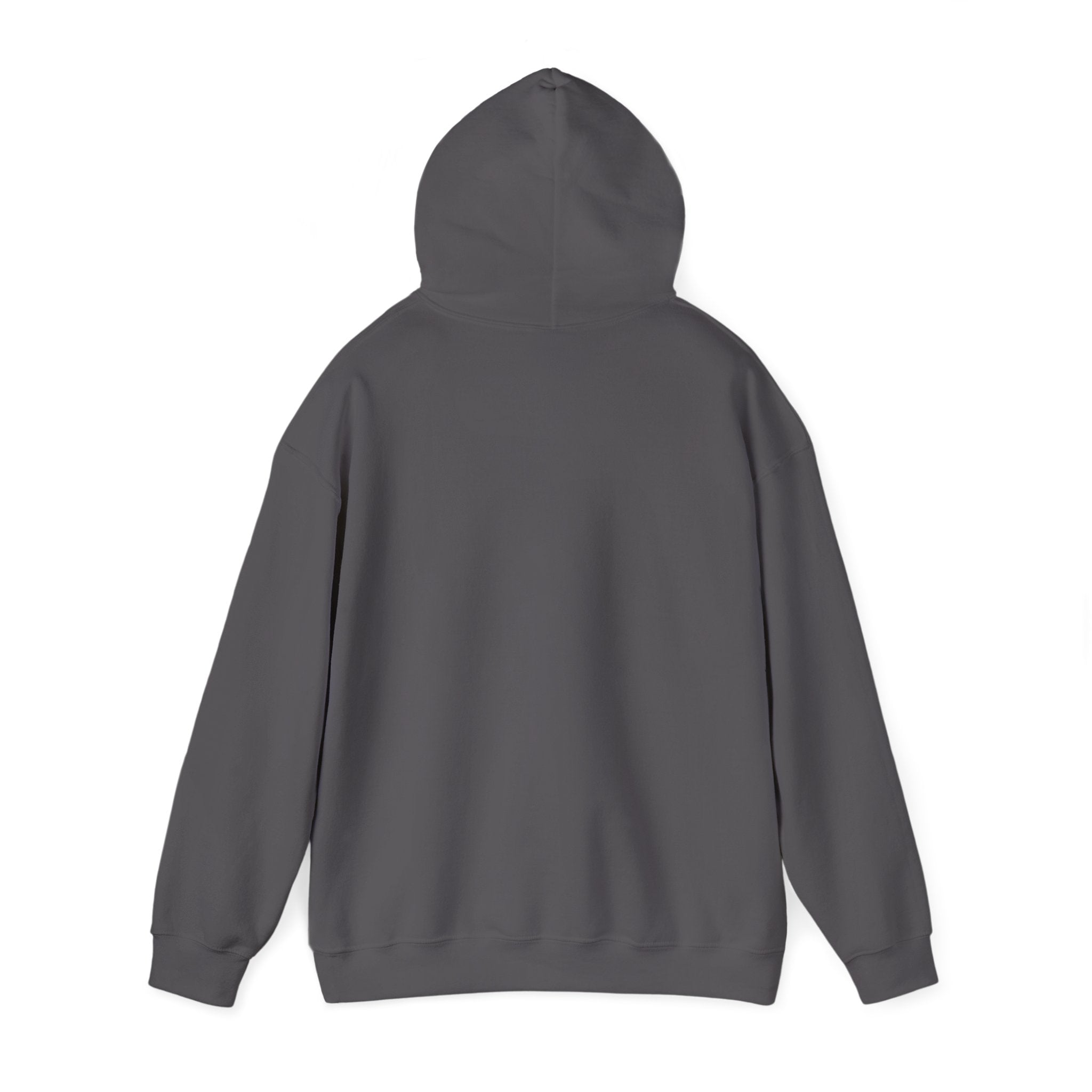 ACE NYC (Hoodie)