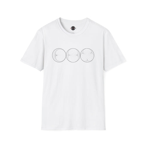 Cycloids
