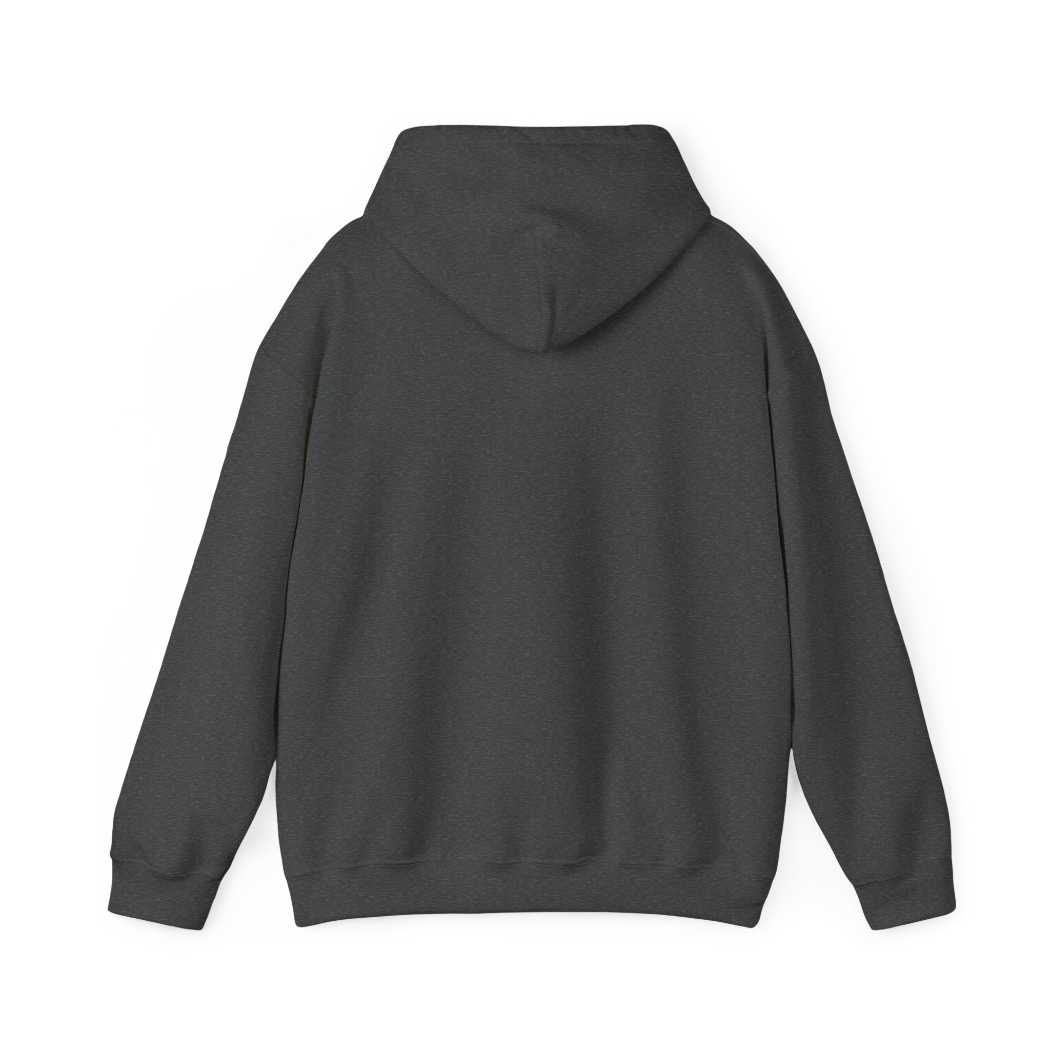 ACE NYC (Hoodie)